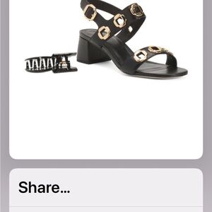 Larroude Black Sandals with Gold Buckles